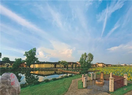 三亿体育注册登录