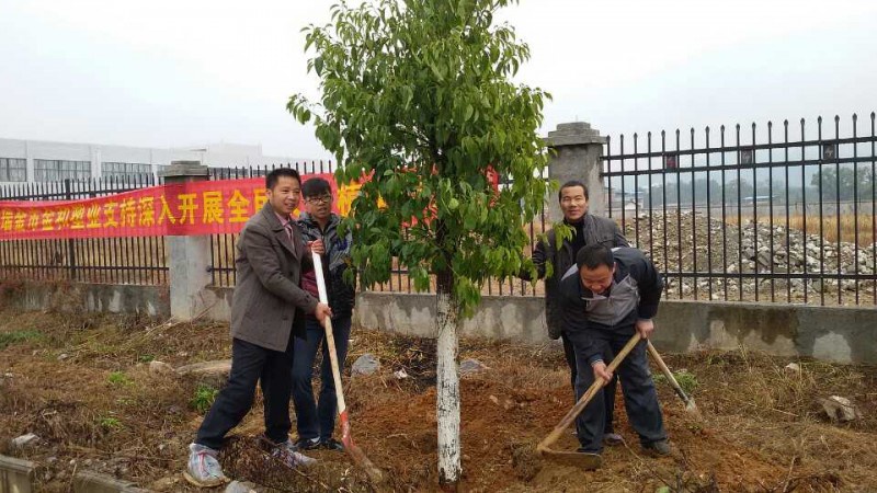 三亿体育注册登录