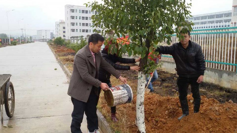 三亿体育注册登录